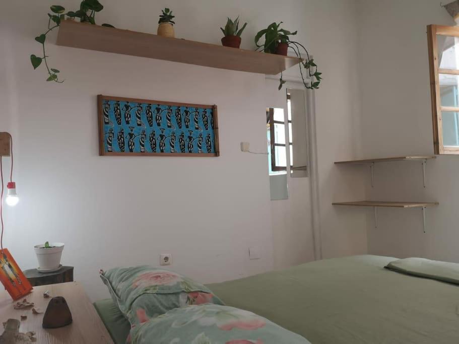 Appartement Old House à Tarrafal  Extérieur photo